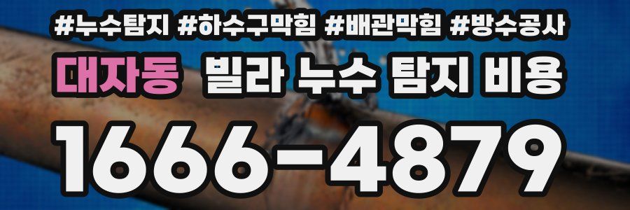 대자동 빌라 누수 탐지 비용