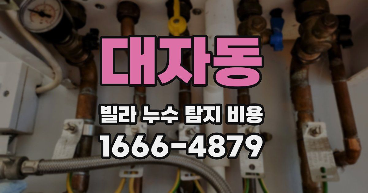 대자동 빌라 누수 탐지 비용
