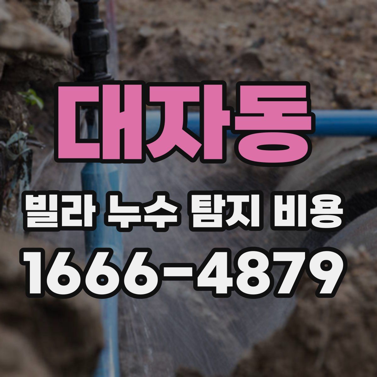 대자동 빌라 누수 탐지 비용