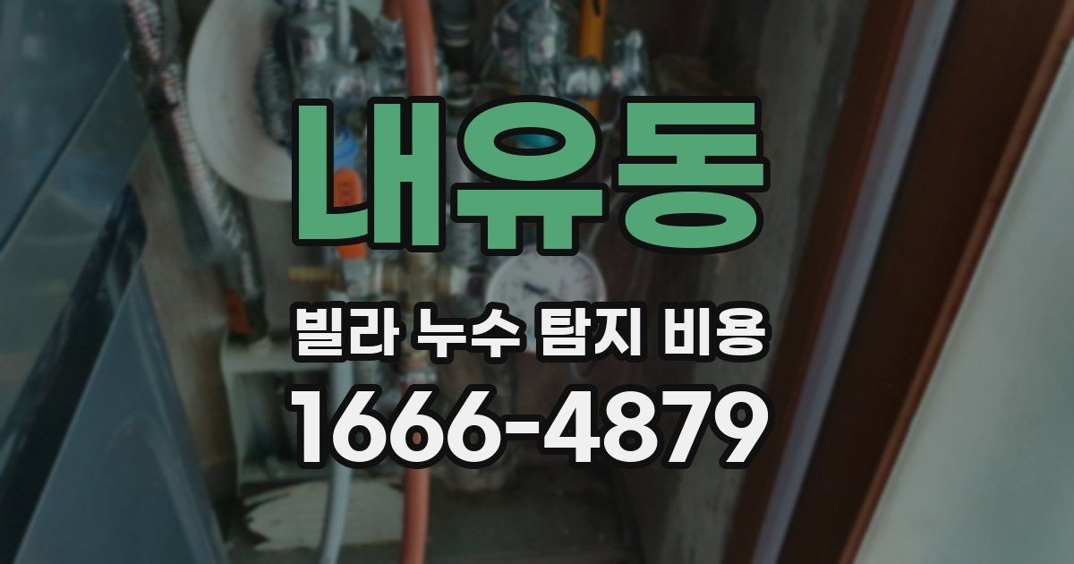 내유동 빌라 누수 탐지 비용