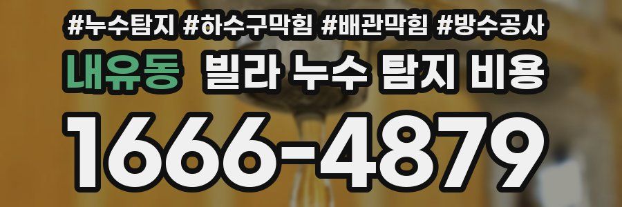 내유동 빌라 누수 탐지 비용