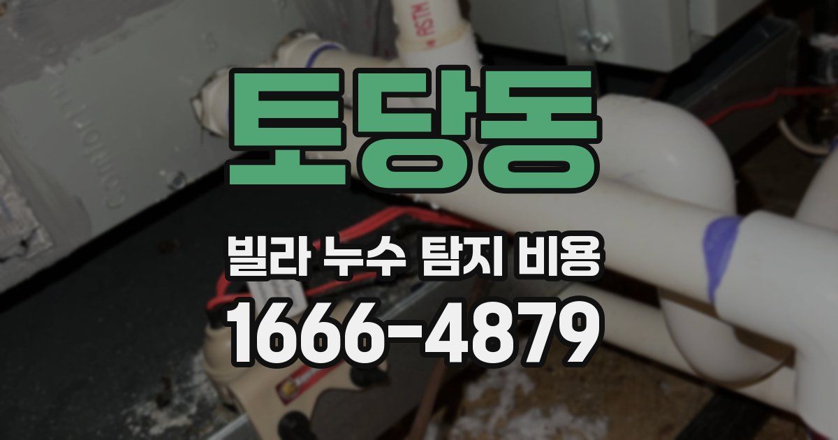 토당동 빌라 누수 탐지 비용