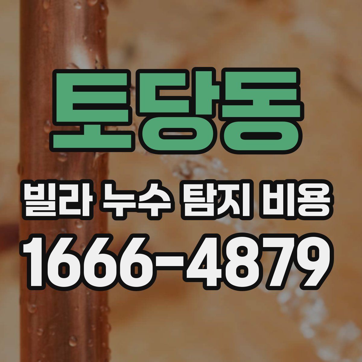 토당동 빌라 누수 탐지 비용