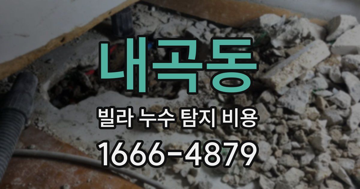 내곡동 빌라 누수 탐지 비용