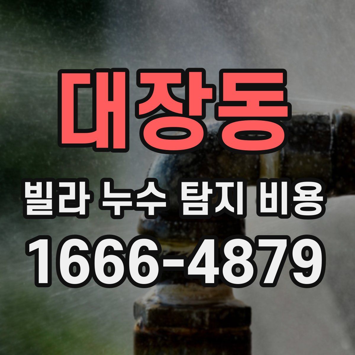 대장동 빌라 누수 탐지 비용