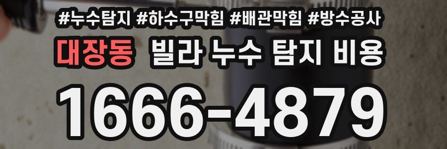 대장동 빌라 누수 탐지 비용