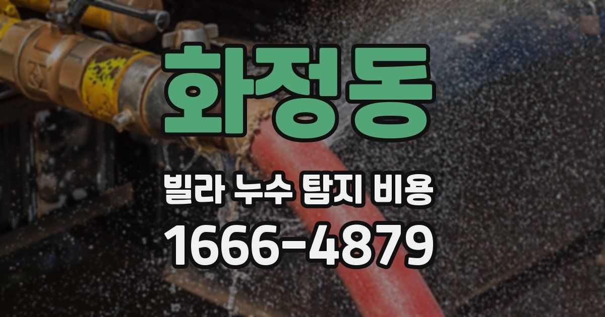 화정동 빌라 누수 탐지 비용
