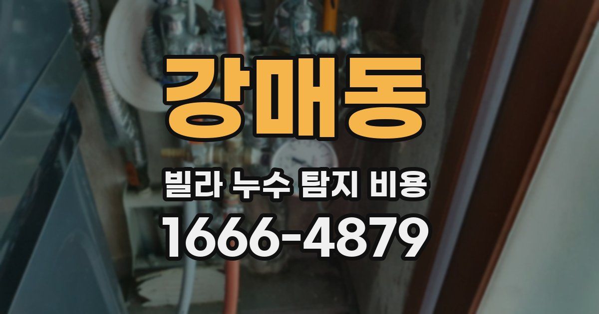 강매동 빌라 누수 탐지 비용