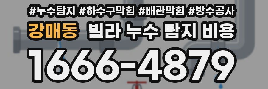강매동 빌라 누수 탐지 비용