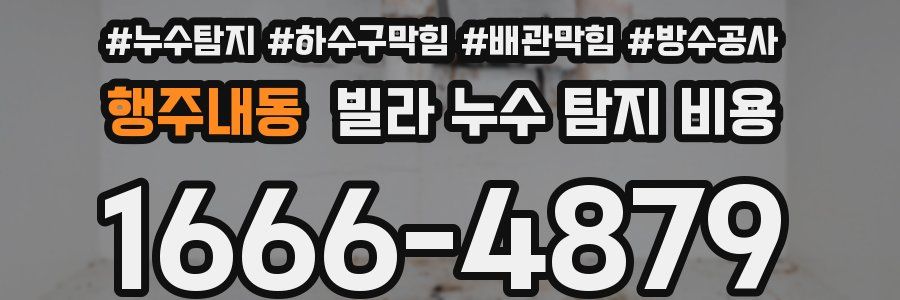행주내동 빌라 누수 탐지 비용