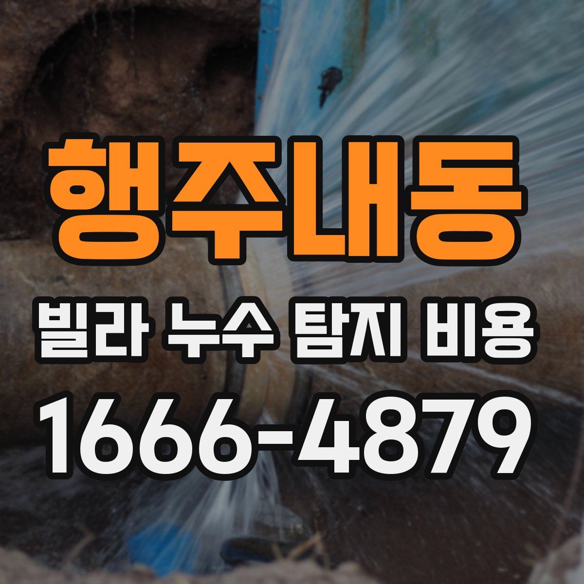 행주내동 빌라 누수 탐지 비용
