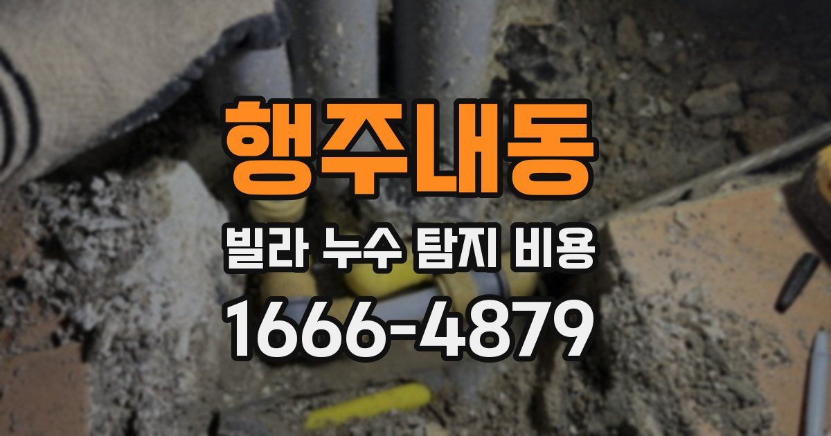 행주내동 빌라 누수 탐지 비용