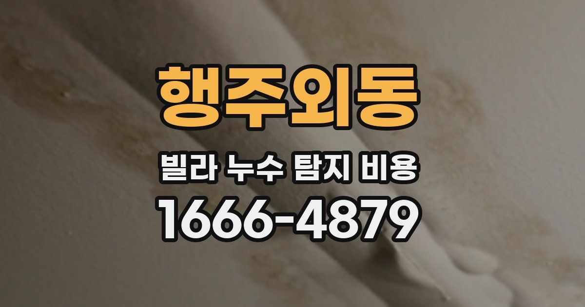 행주외동 빌라 누수 탐지 비용