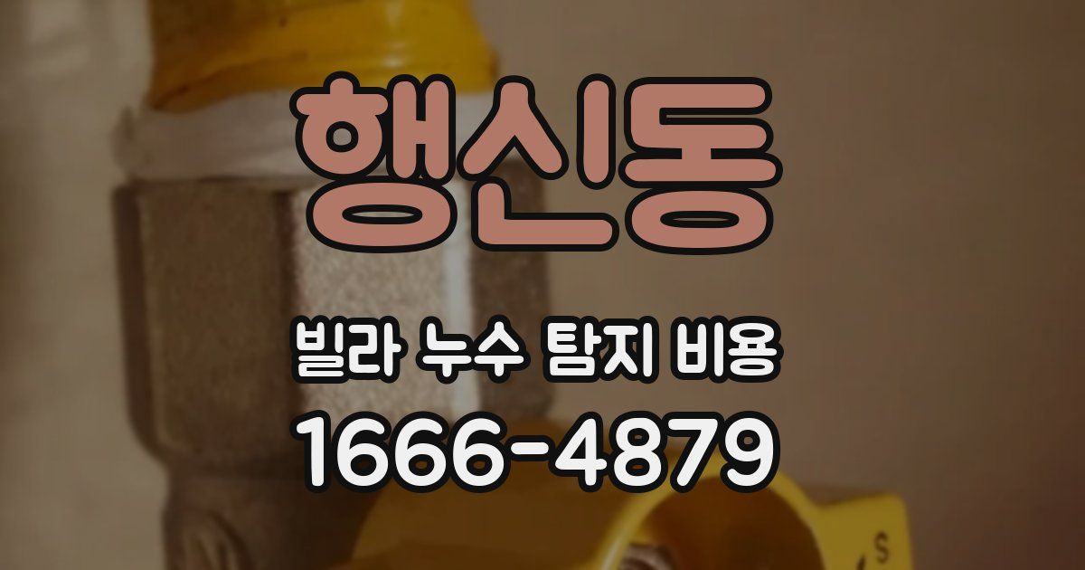 행신동 빌라 누수 탐지 비용