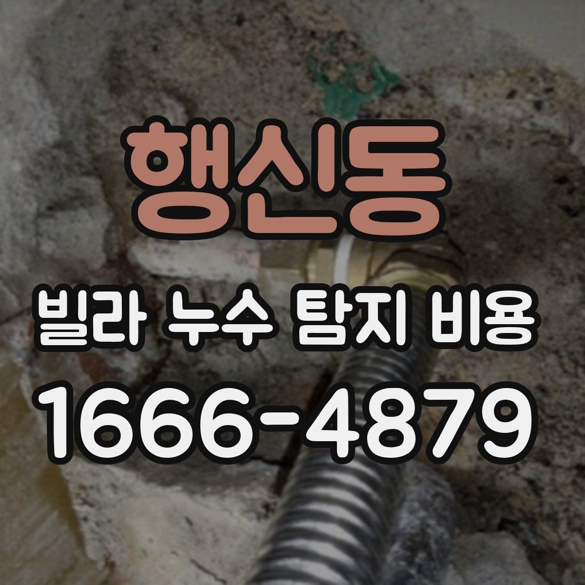 행신동 빌라 누수 탐지 비용