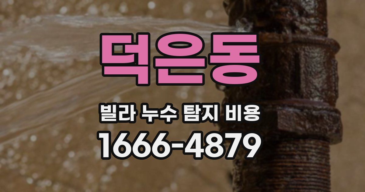 덕은동 빌라 누수 탐지 비용