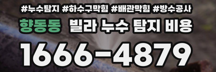 향동동 빌라 누수 탐지 비용