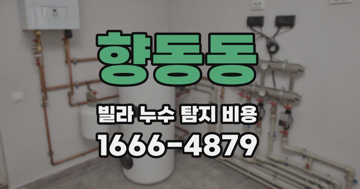 향동동 빌라 누수 탐지 비용