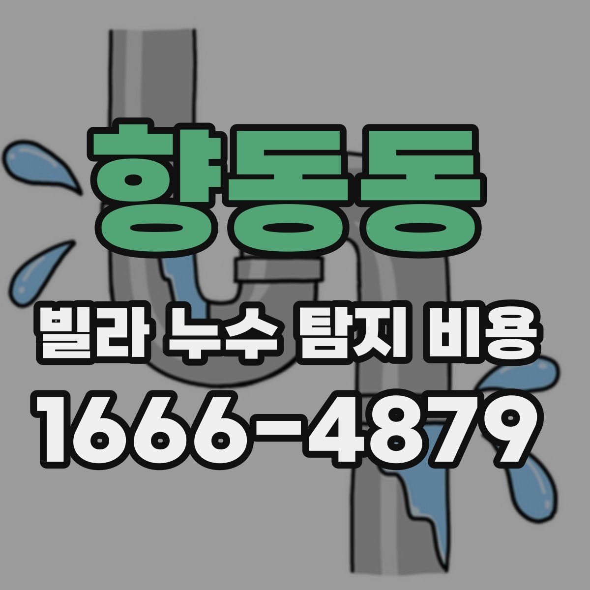 향동동 빌라 누수 탐지 비용