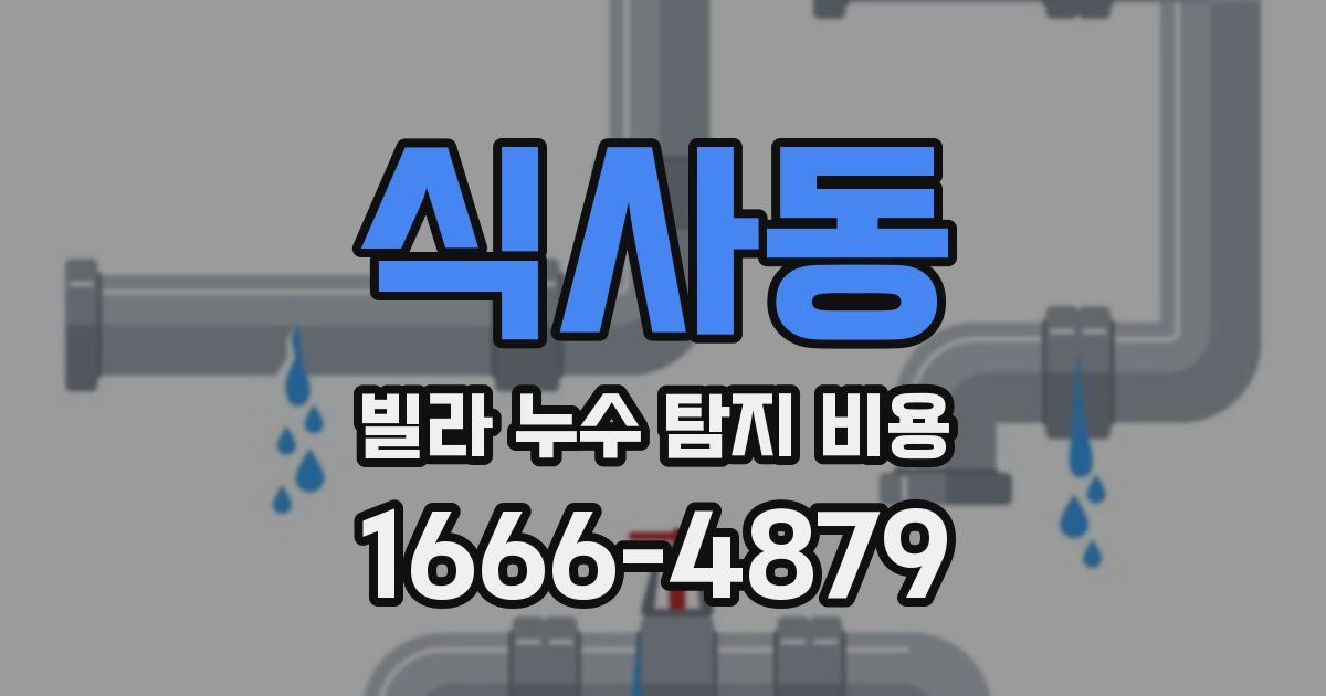 식사동 빌라 누수 탐지 비용