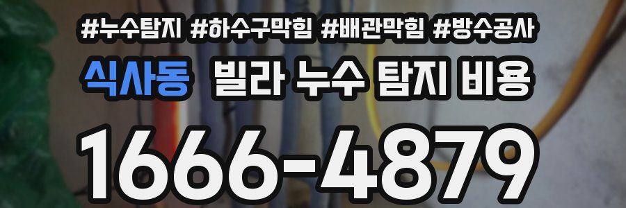 식사동 빌라 누수 탐지 비용