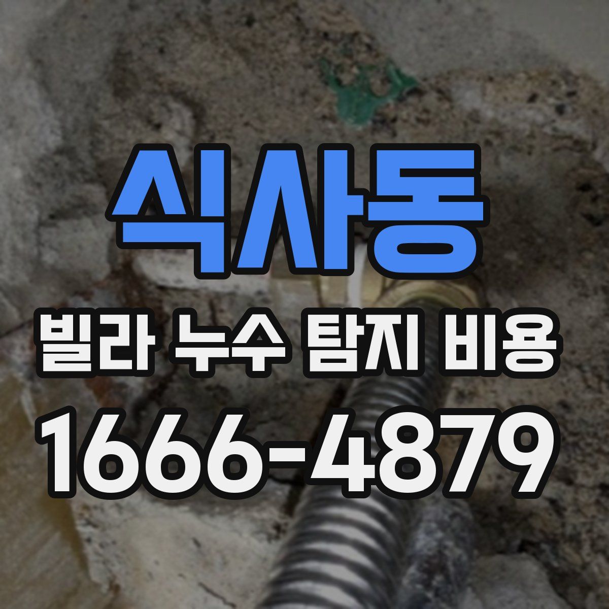 식사동 빌라 누수 탐지 비용