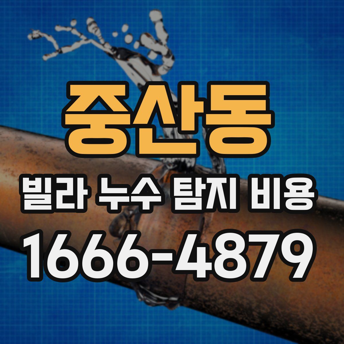 중산동 빌라 누수 탐지 비용