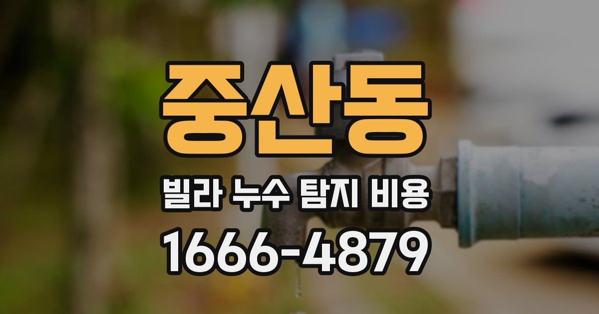중산동 빌라 누수 탐지 비용