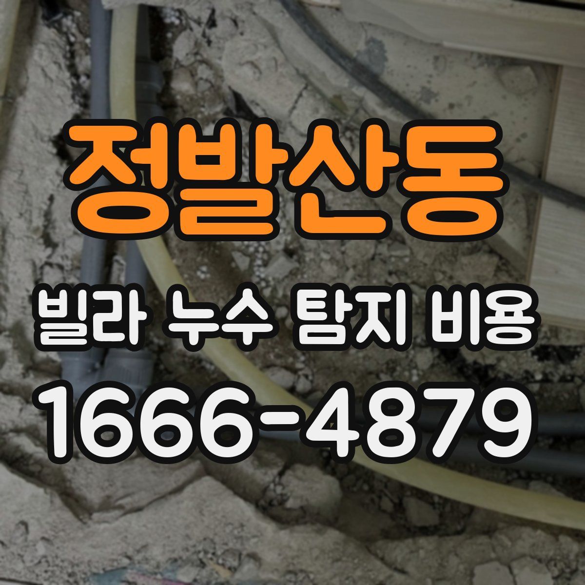 정발산동 빌라 누수 탐지 비용