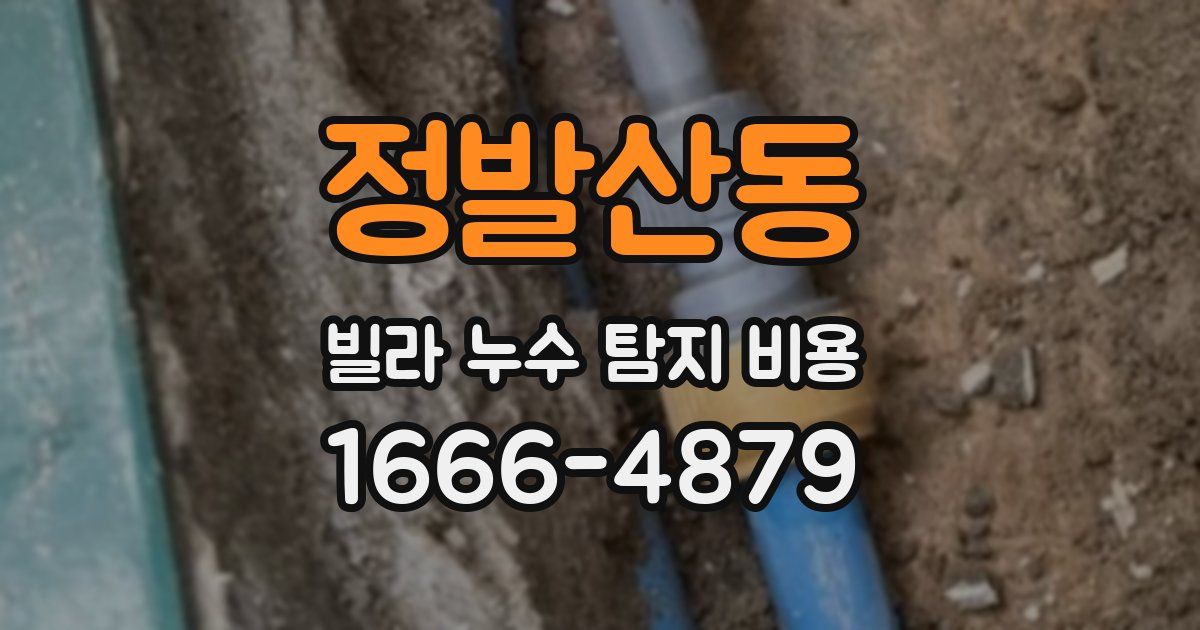 정발산동 빌라 누수 탐지 비용