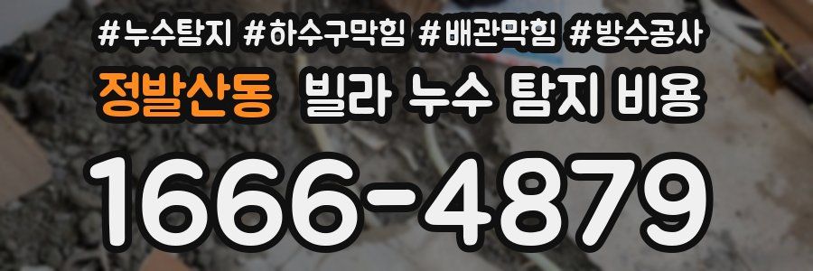 정발산동 빌라 누수 탐지 비용