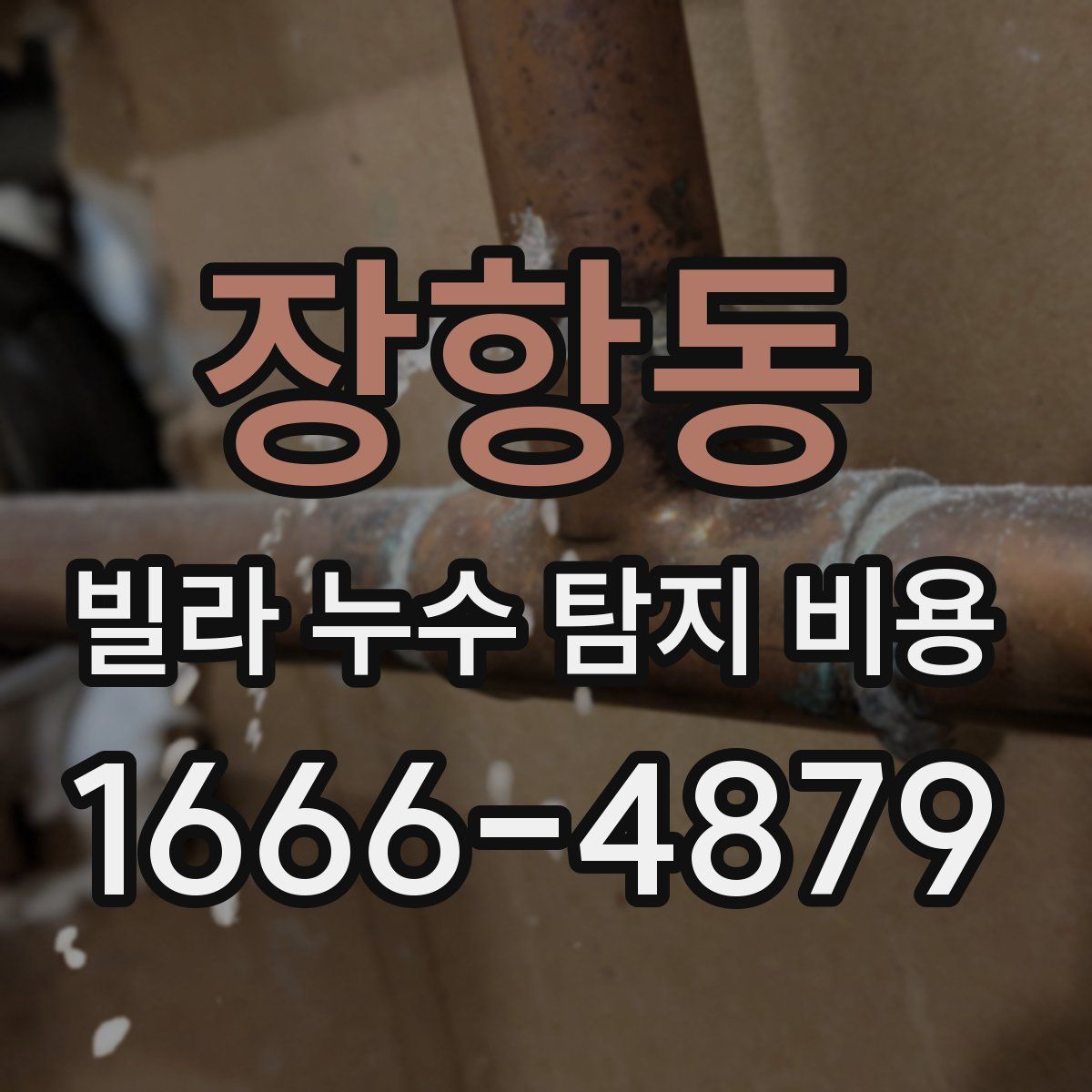 장항동 빌라 누수 탐지 비용