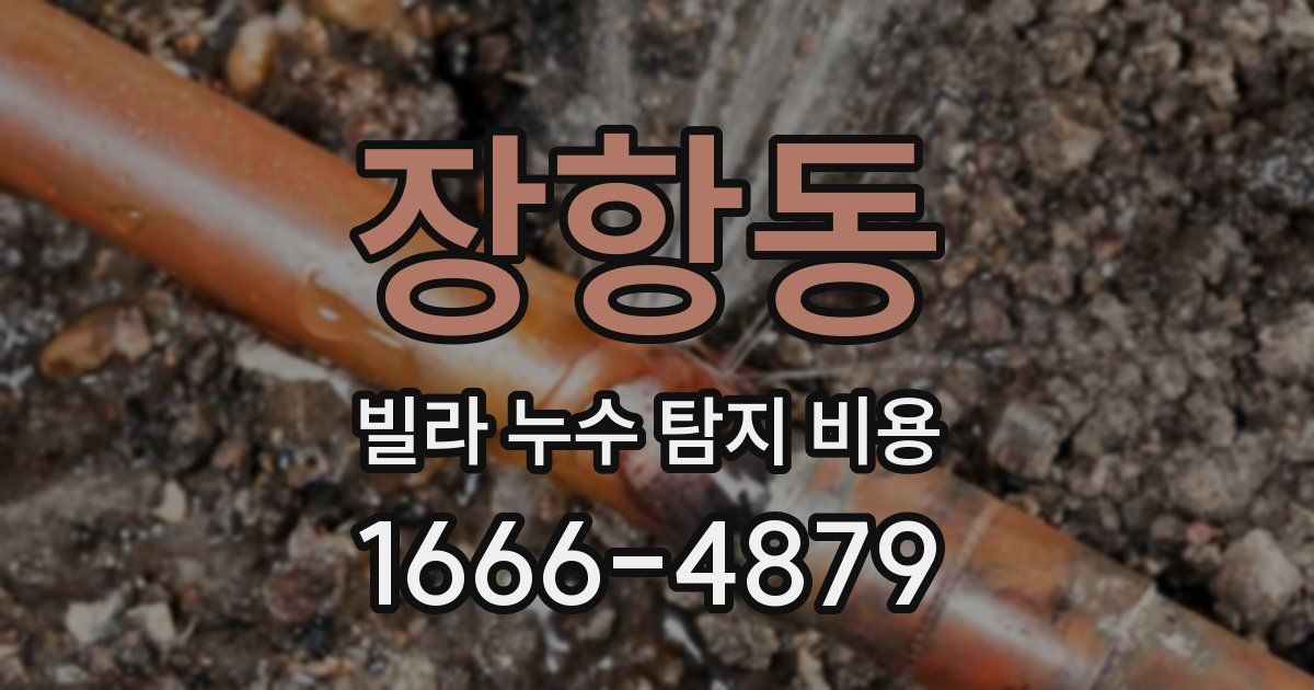 장항동 빌라 누수 탐지 비용