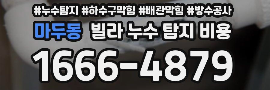 마두동 빌라 누수 탐지 비용