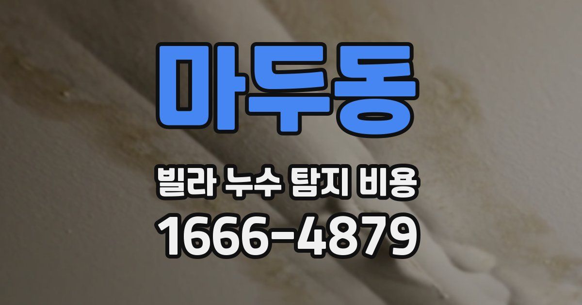 마두동 빌라 누수 탐지 비용