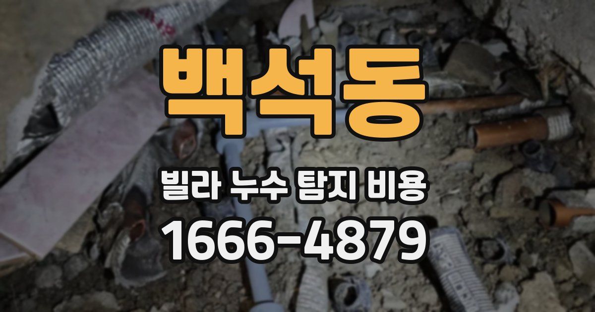 백석동 빌라 누수 탐지 비용