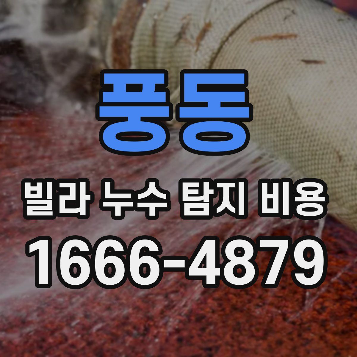 풍동 빌라 누수 탐지 비용