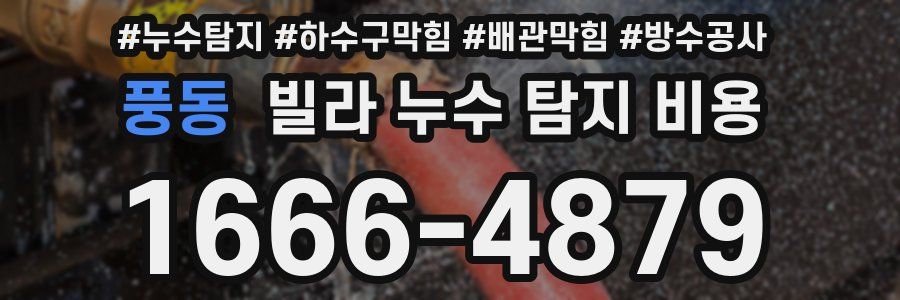 풍동 빌라 누수 탐지 비용