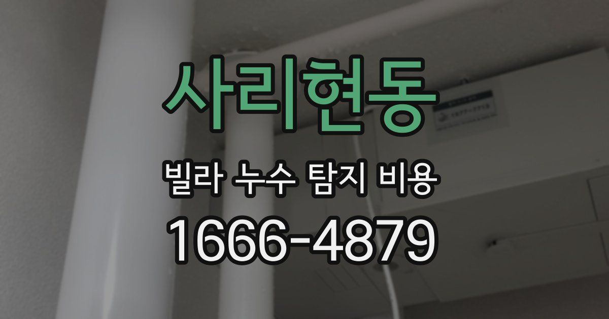 사리현동 빌라 누수 탐지 비용