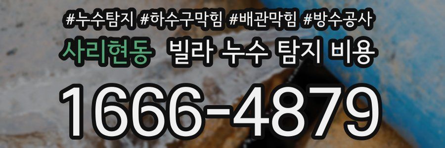 사리현동 빌라 누수 탐지 비용