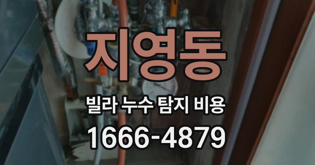 지영동 빌라 누수 탐지 비용