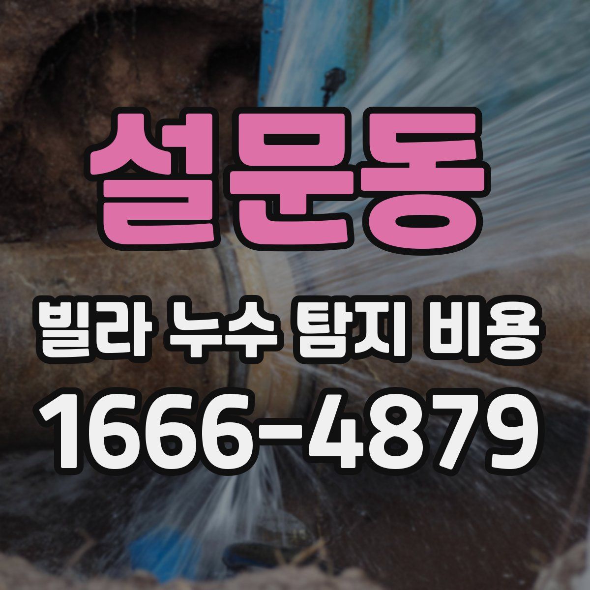 설문동 빌라 누수 탐지 비용
