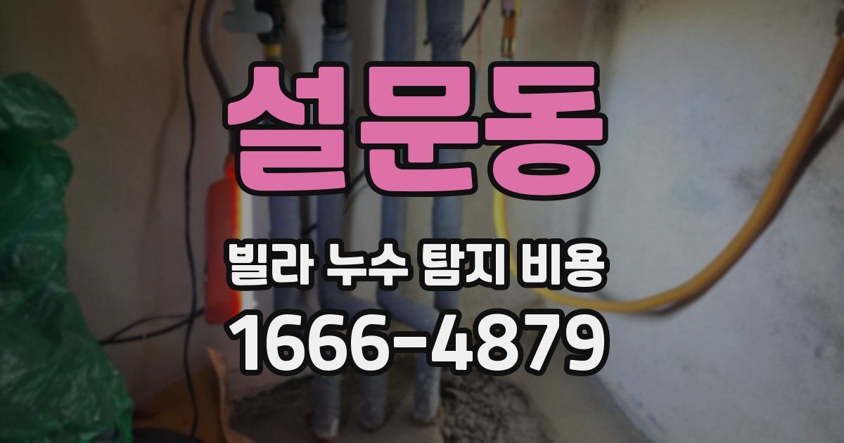 설문동 빌라 누수 탐지 비용