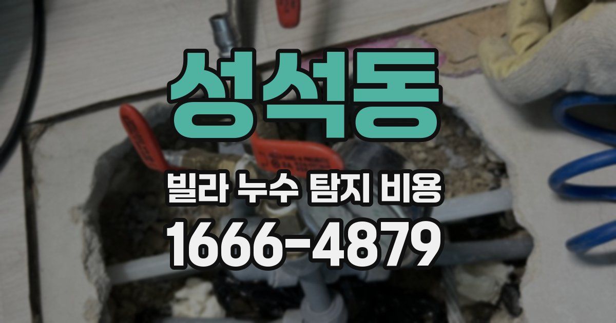 성석동 빌라 누수 탐지 비용
