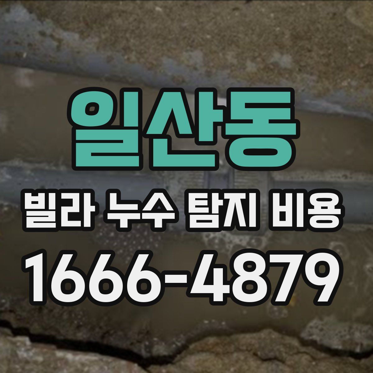 일산동 빌라 누수 탐지 비용