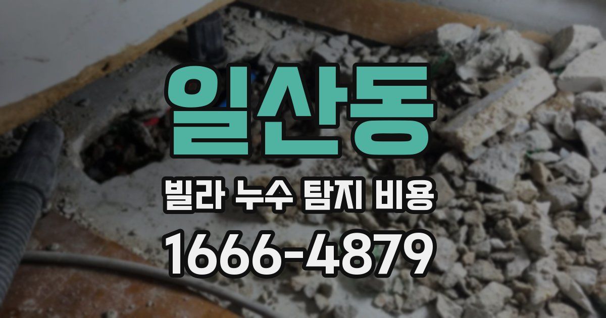 일산동 빌라 누수 탐지 비용