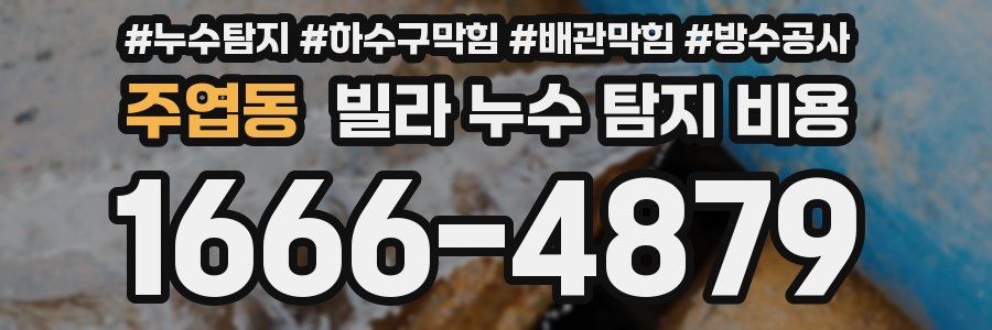 주엽동 빌라 누수 탐지 비용