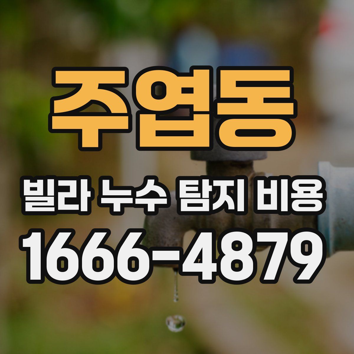 주엽동 빌라 누수 탐지 비용