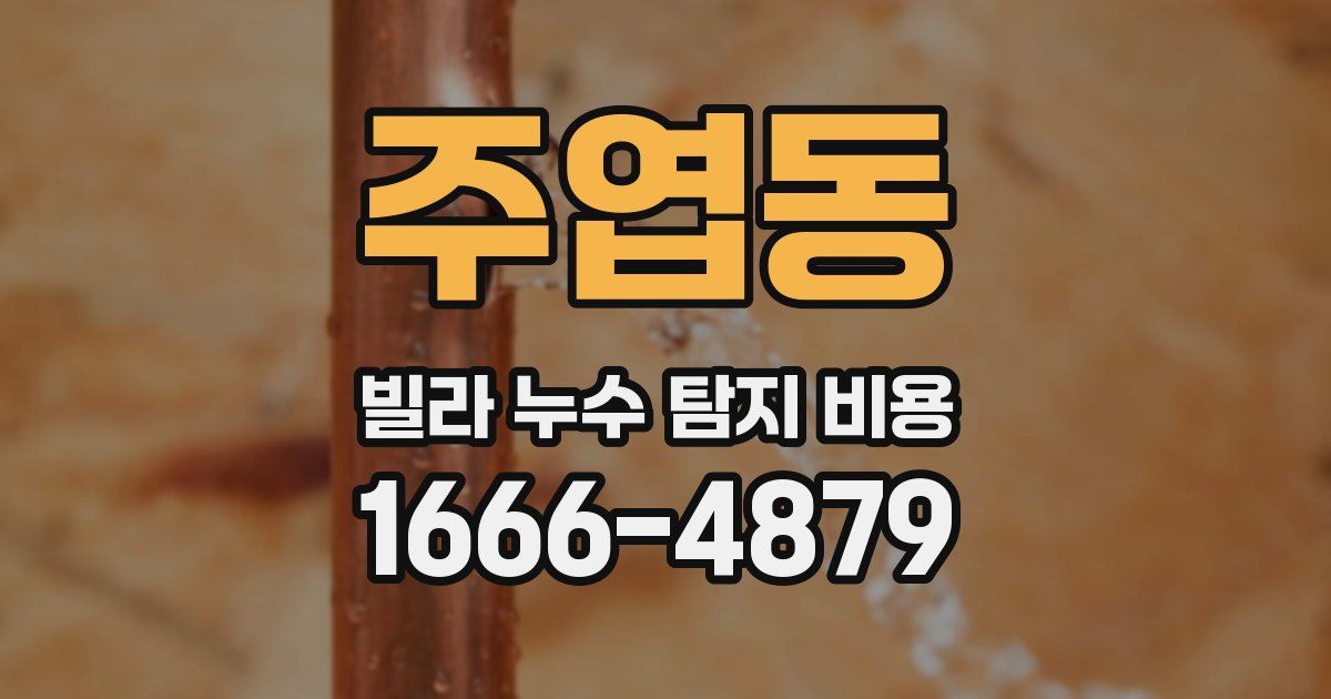 주엽동 빌라 누수 탐지 비용