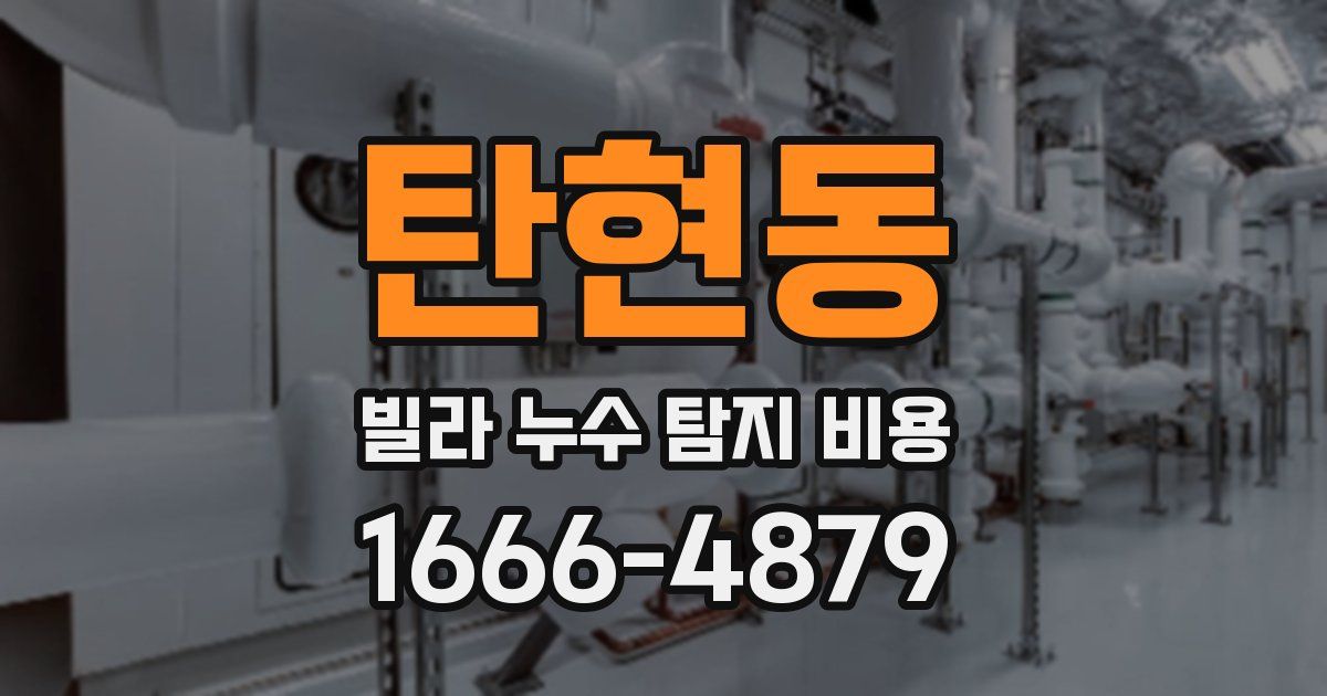 탄현동 빌라 누수 탐지 비용